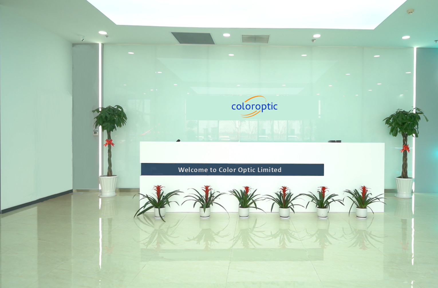 Çin Color Optic Limited şirket Profili