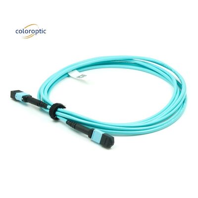 Fiber G652D OM3 MPO Patch Kablosu İş İhtiyaçları İçin 1m Uzunluk