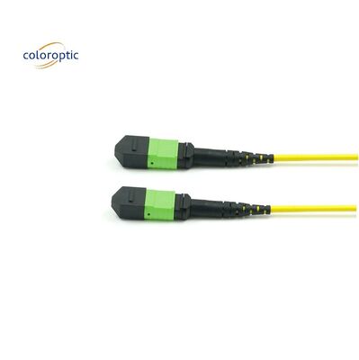 Pasif Optik Tek Mod Patch Cord MPO-12 / APC-To-MPO12 / APC