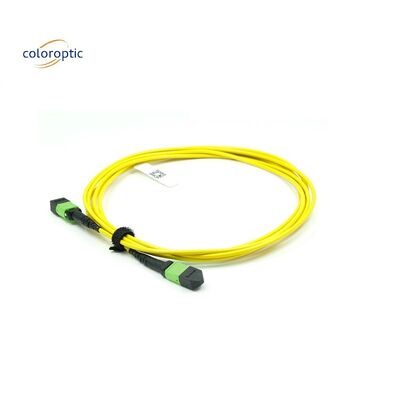 Verimli ağ için OM3 MPO Patch Cord 12 Core Aqua Fiber Optic Connector