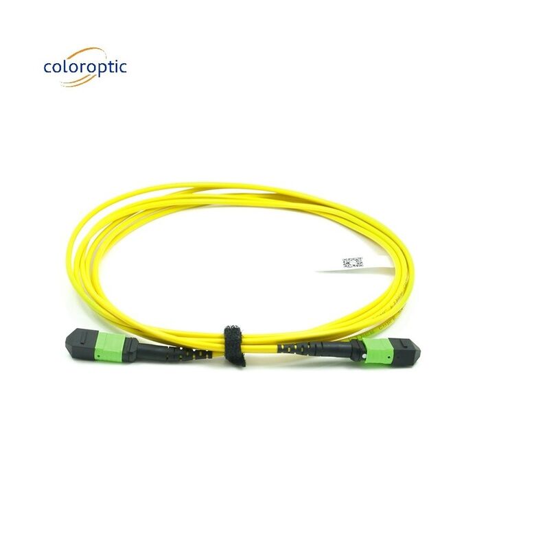 Pasif Optik Tek Mod Patch Cord MPO-12 / APC-To-MPO12 / APC