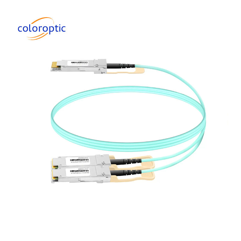 3m AOC DAC Kablosu 10Gbps 800G OSFP'ye 2*400G QSFP112 Bağlantıları